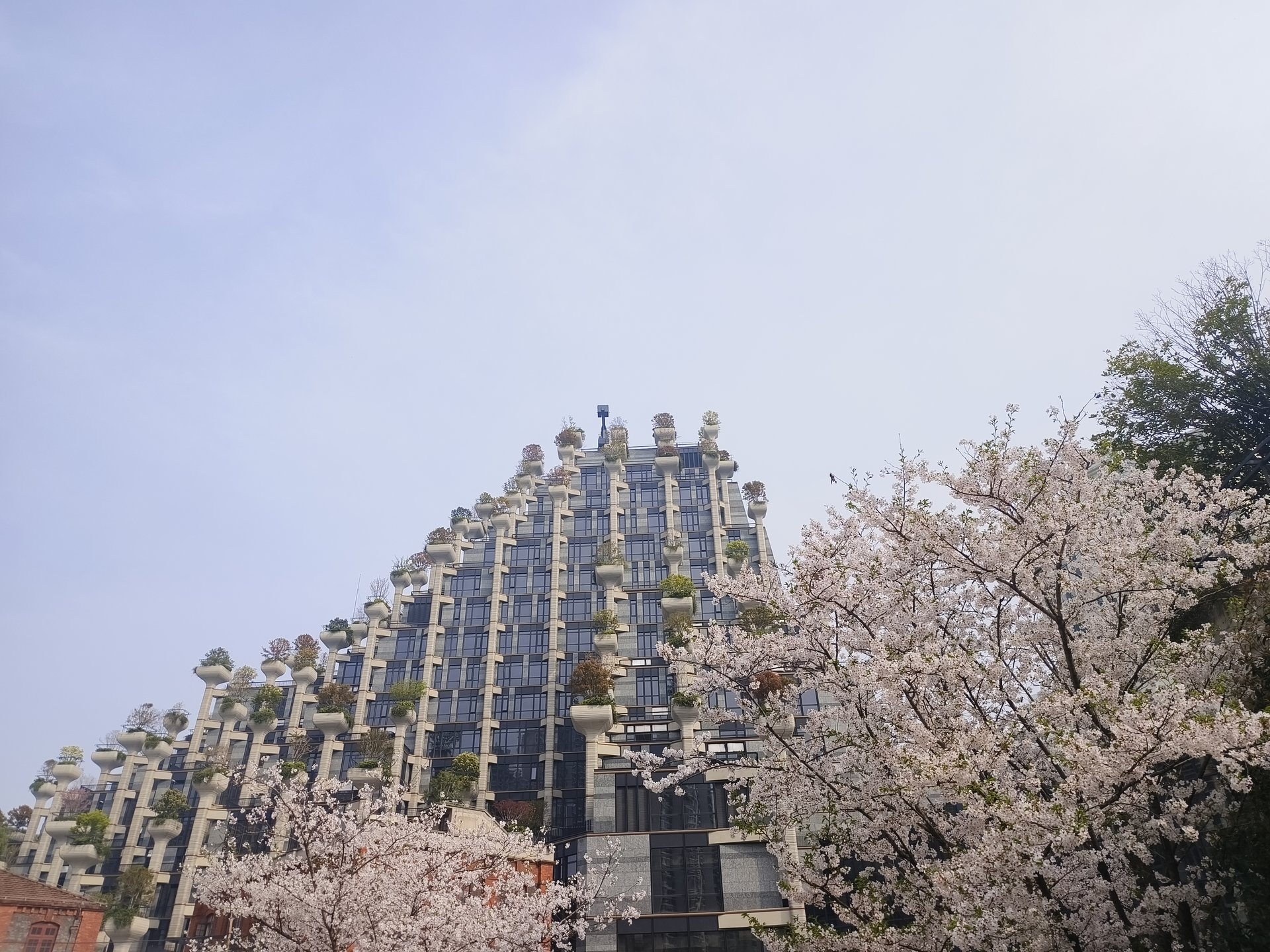 作品图1